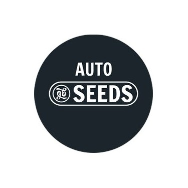 Autoflowering bulk seeds